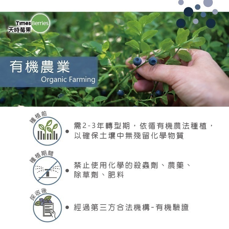 【天時莓果】加拿大有機冷凍野生藍莓 454g/包 [慈心有機驗證]-細節圖5