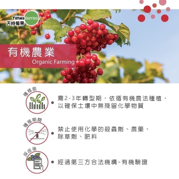 【天時莓果】通過A肝檢驗 加拿大有機冷凍蔓越莓 454g/包 [100%無農藥]-細節圖6