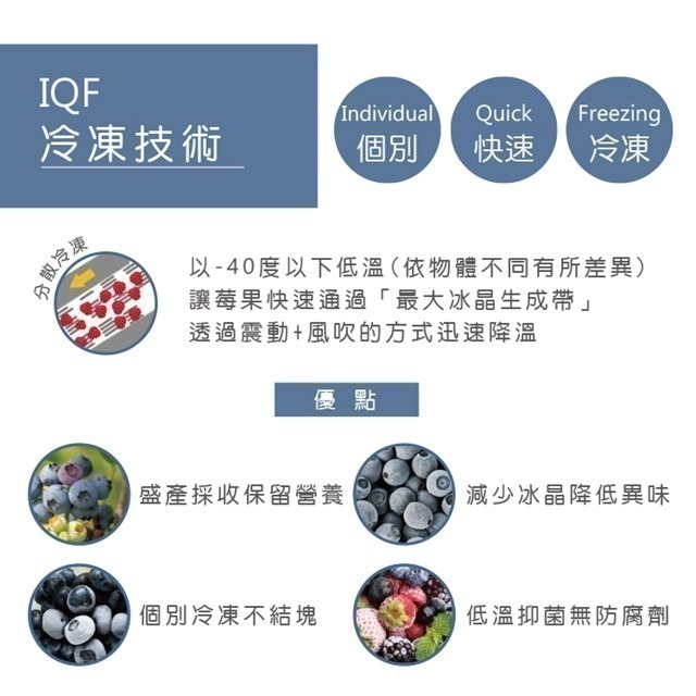 【天時莓果】美國冷凍栽種藍莓 400g/包-細節圖7