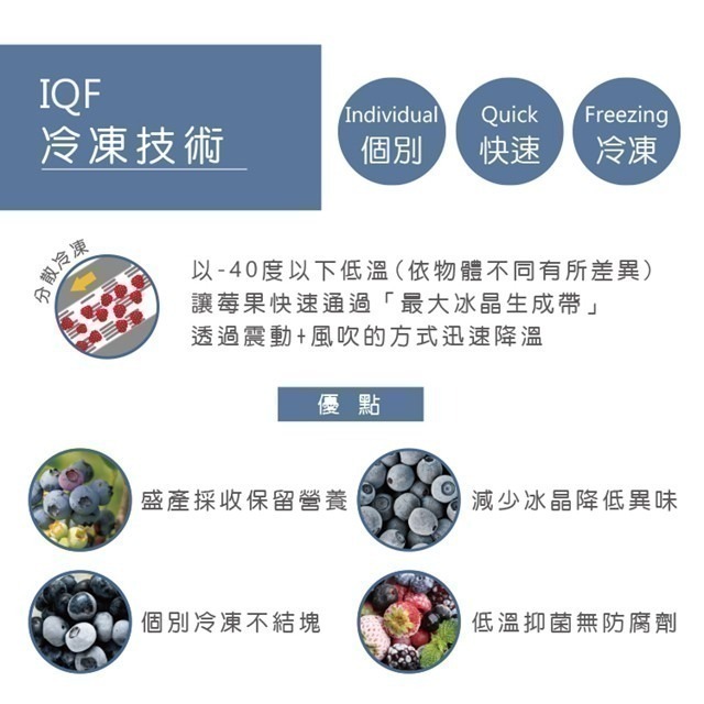 【天時莓果】美國冷凍栽種藍莓 400g/包-細節圖6