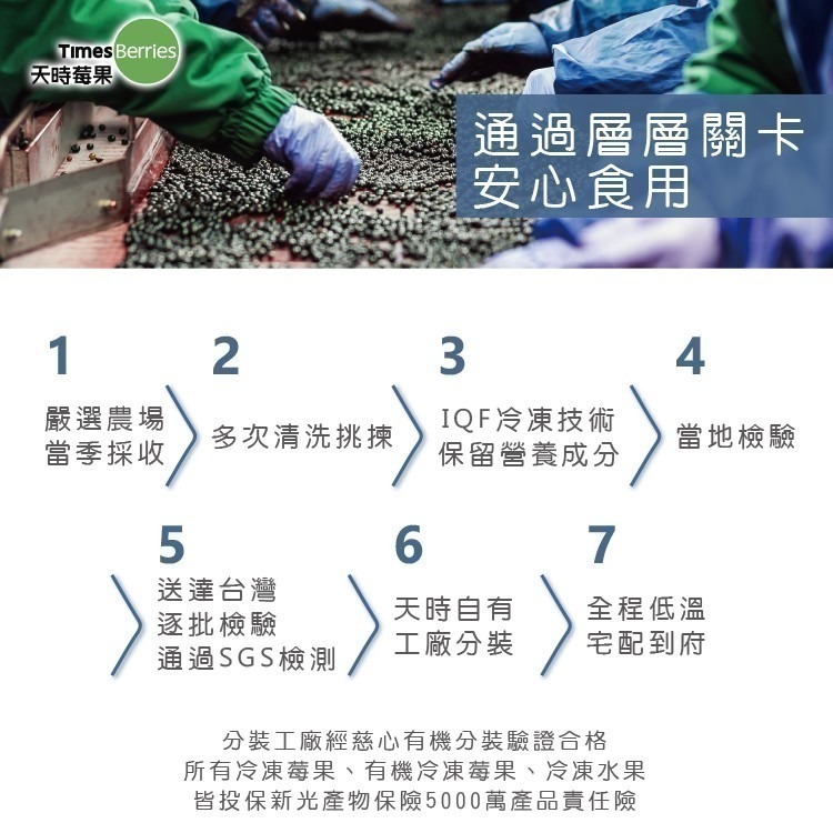 【天時莓果】美國冷凍栽種藍莓 1000公克-細節圖7
