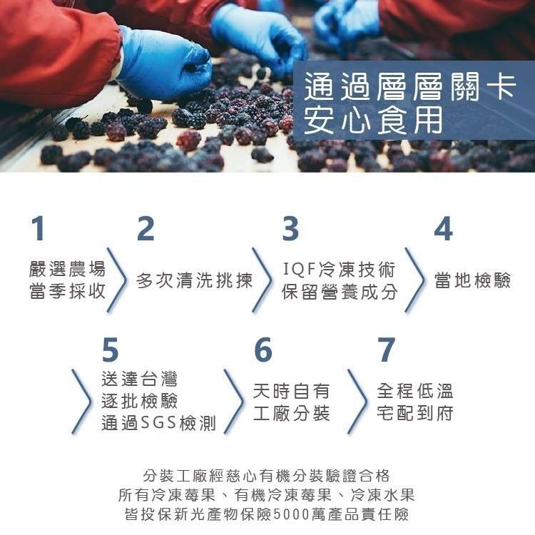 【天時莓果】通過A肝檢驗 超級好水果の智利冷凍黑莓 400g/包-細節圖8