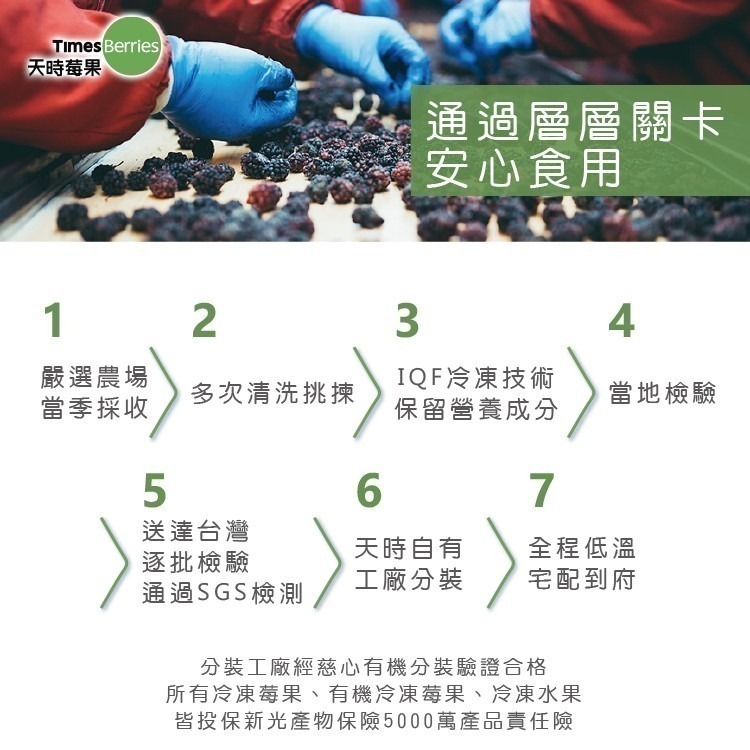 【天時莓果】好事成雙 雙莓果組合包-藍莓+智利黑莓（各500g 夾鏈包裝）-細節圖7