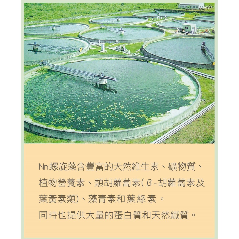 NN螺旋藻 120＇S-細節圖3