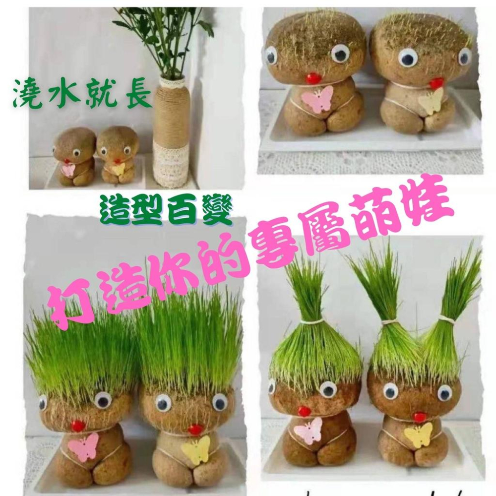 <<購了么>> 台製現貨 草頭娃娃 長草娃娃 辦公室盆栽  教學 交換禮物 新年禮物 開運 盆栽 療癒小物-細節圖3