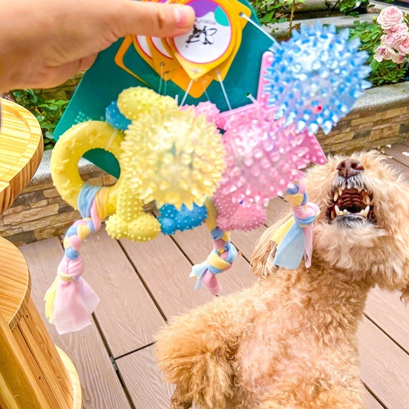 【汪喵森活】 糖果色系 TPR軟性玩具 寵物玩具 骨頭 球 小型犬玩具 小狗玩具 磨牙玩具 咬咬玩具 發聲玩具 陪伴玩具-細節圖3