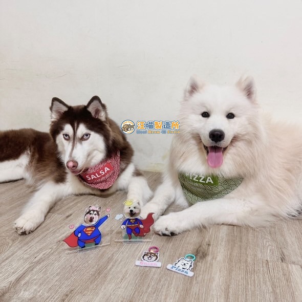 【汪喵森活】 日式圖案 13款 寵物口水巾 寵物圍兜 狗狗三角巾 客製三角巾 客製口水巾 狗狗貓咪口水巾 領巾 名牌-細節圖2