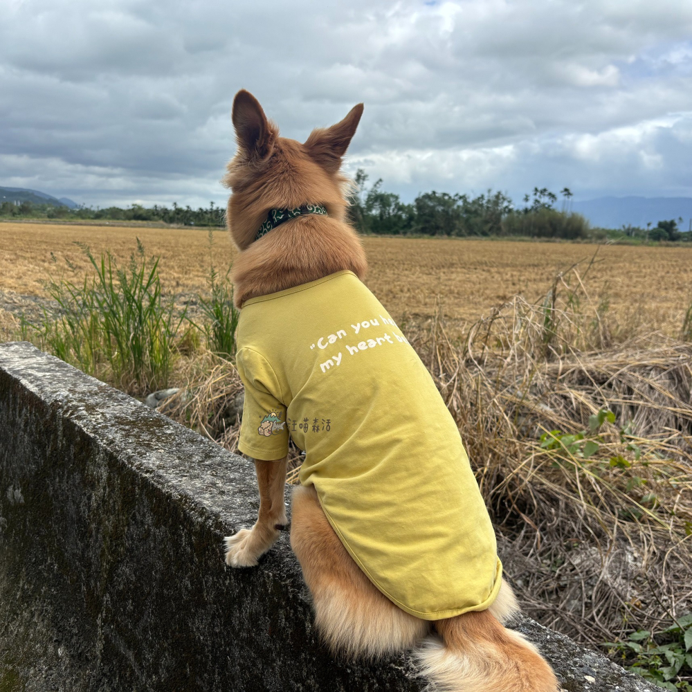 【汪喵森活】 6色 韓系彈力棉衣 Hey 打底衣 睡衣 家居衣 寵物衣服 狗衣服 比熊 貴賓 貓咪 米克斯 柯基 柴犬-細節圖3