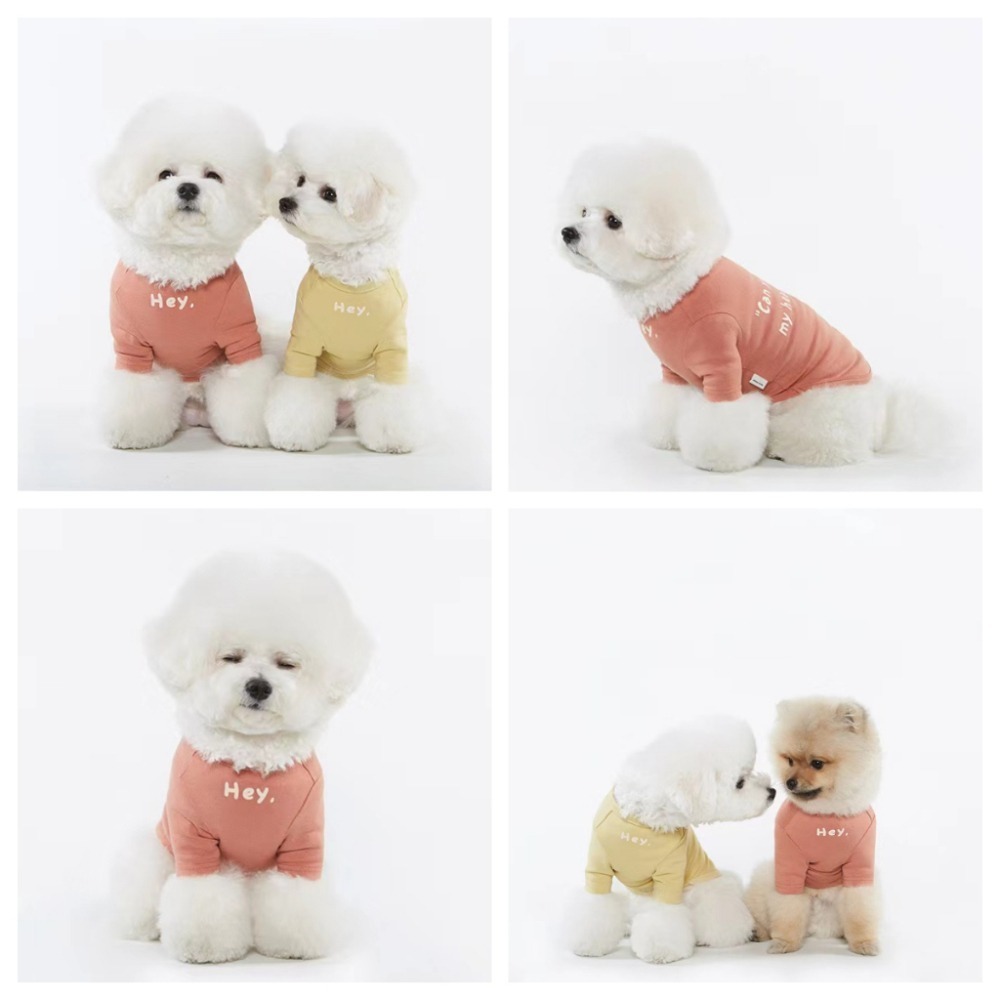 【汪喵森活】 6色 韓系彈力棉衣 Hey 打底衣 睡衣 家居衣 寵物衣服 狗衣服 比熊 貴賓 貓咪 米克斯 柯基 柴犬-細節圖7