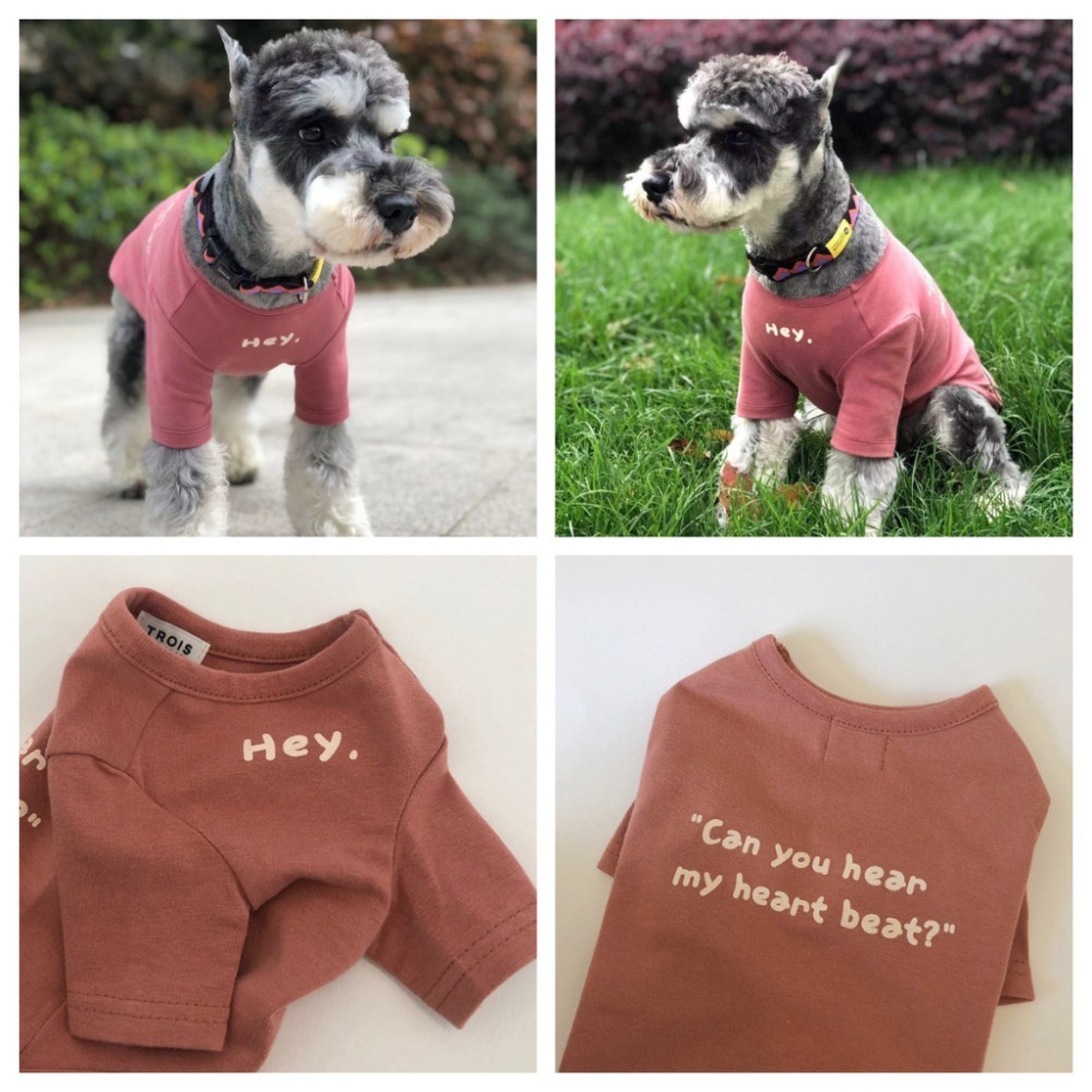 【汪喵森活】 6色 韓系彈力棉衣 Hey 打底衣 睡衣 家居衣 寵物衣服 狗衣服 比熊 貴賓 貓咪 米克斯 柯基 柴犬-細節圖9