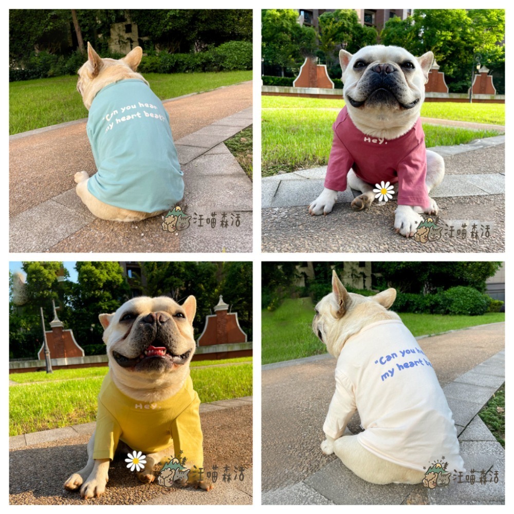 【汪喵森活】 6色 韓系彈力棉衣 Hey 打底衣 睡衣 家居衣 寵物衣服 狗衣服 比熊 貴賓 貓咪 米克斯 柯基 柴犬-細節圖10