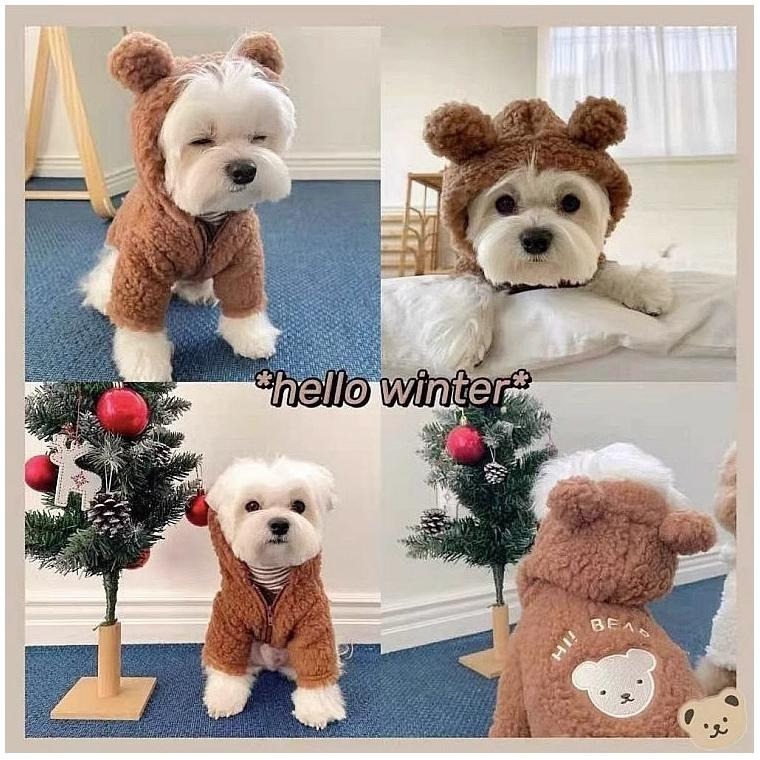 【汪喵森活】Hi Bear 熊耳拉鍊外套 狗衣服 比熊 博美 貴賓 貓咪 小型犬服飾 吉娃娃 西施 比熊 秋冬服飾-細節圖8