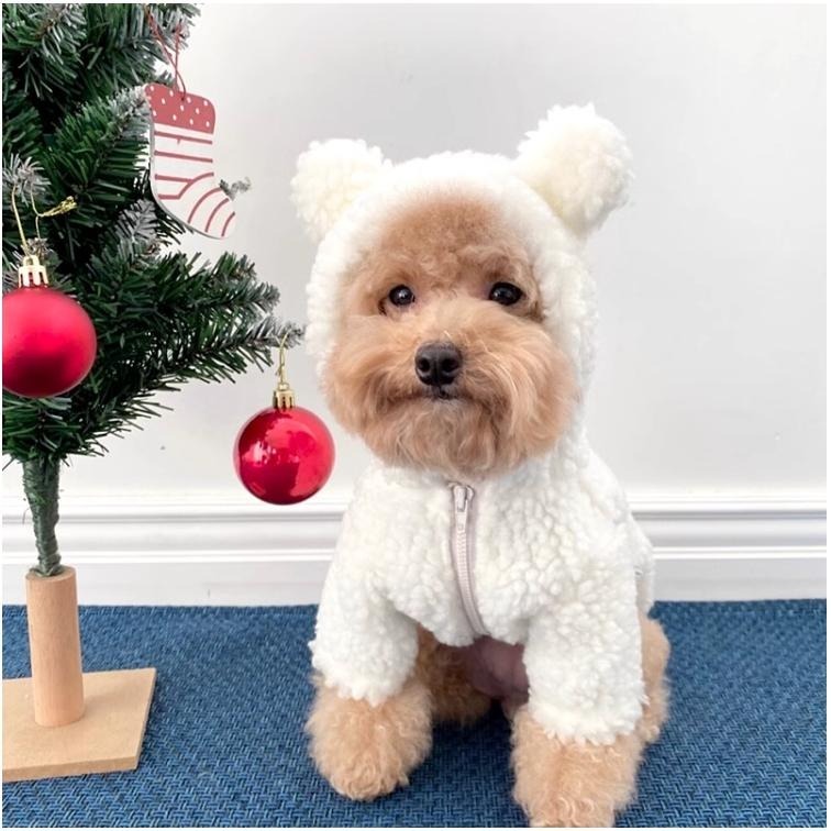 【汪喵森活】Hi Bear 熊耳拉鍊外套 狗衣服 比熊 博美 貴賓 貓咪 小型犬服飾 吉娃娃 西施 比熊 秋冬服飾-細節圖11