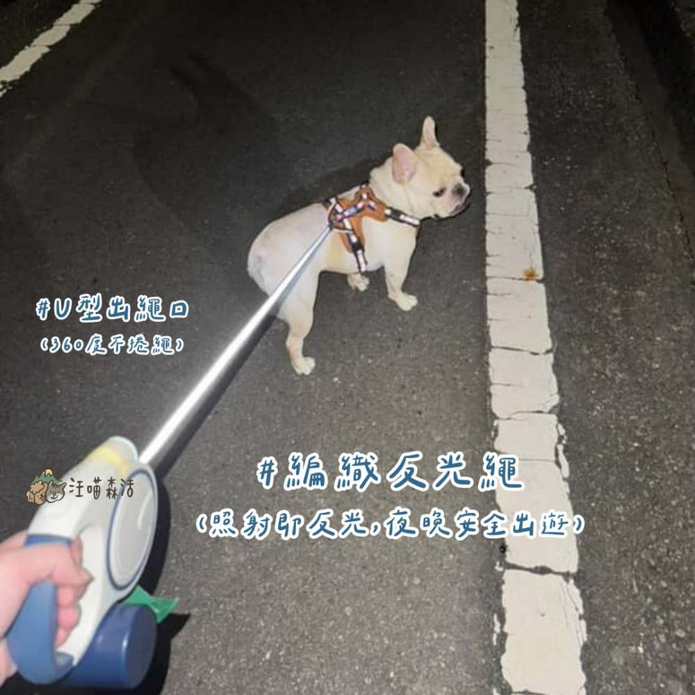 【汪喵森活】 LED 3色反光 3M寵物自動牽繩 有收納盒 自動牽繩 伸縮牽繩 伸縮拉繩 寵物牽繩 牽引繩 狗牽繩 牽繩-細節圖4