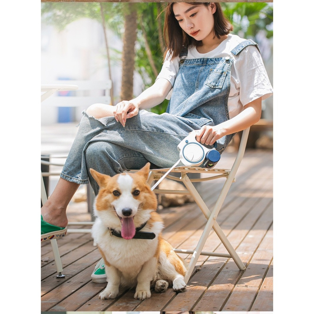 【汪喵森活】 LED 3色反光 3M寵物自動牽繩 有收納盒 自動牽繩 伸縮牽繩 伸縮拉繩 寵物牽繩 牽引繩 狗牽繩 牽繩-細節圖5