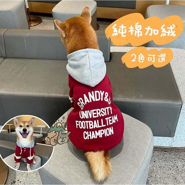 【汪喵森活】潮流 雙鈕扣帽Tee 2色 寵物衣服 秋冬服飾 中型犬 雪納瑞 西高地 比熊 柯基 法鬥 柴犬 米克斯-細節圖3