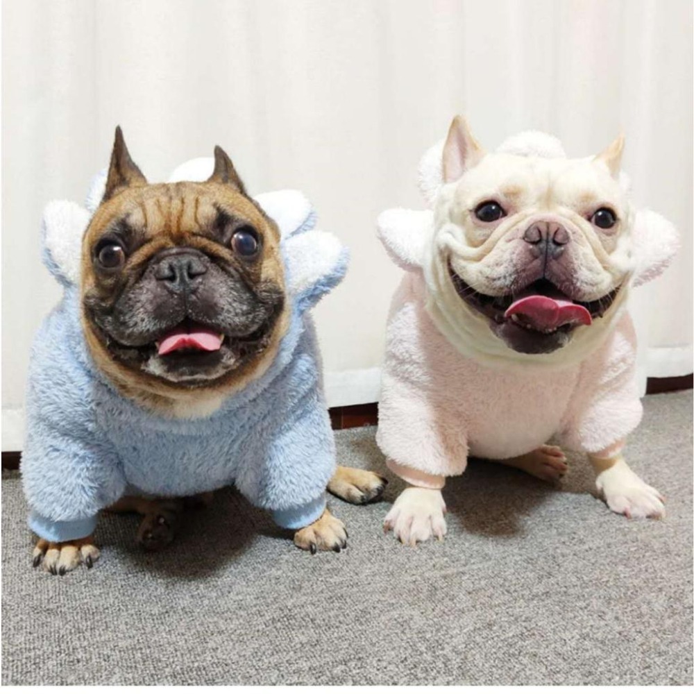 【汪喵森活】花花毛絨帽Tee 寵物帽衣 狗衣服 中型犬 保暖 秋冬服飾 雪納瑞 西高地 比熊 柯基 法鬥 柴犬 英鬥-細節圖7