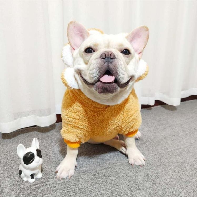 【汪喵森活】花花毛絨帽Tee 寵物帽衣 狗衣服 中型犬 保暖 秋冬服飾 雪納瑞 西高地 比熊 柯基 法鬥 柴犬 英鬥-細節圖9