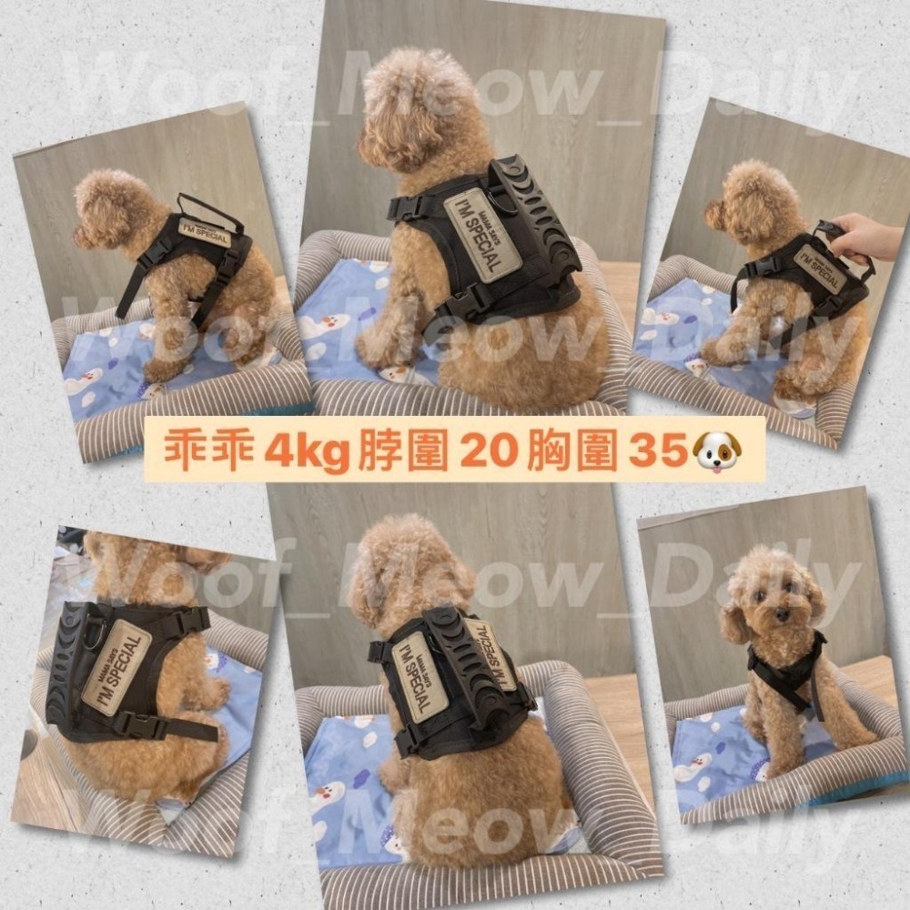 【汪喵森活】3色 戰術胸背帶  寵物胸背衣 防掙脫 送牽繩 背心胸背帶 防暴衝 貓胸背帶 狗胸背帶-細節圖5