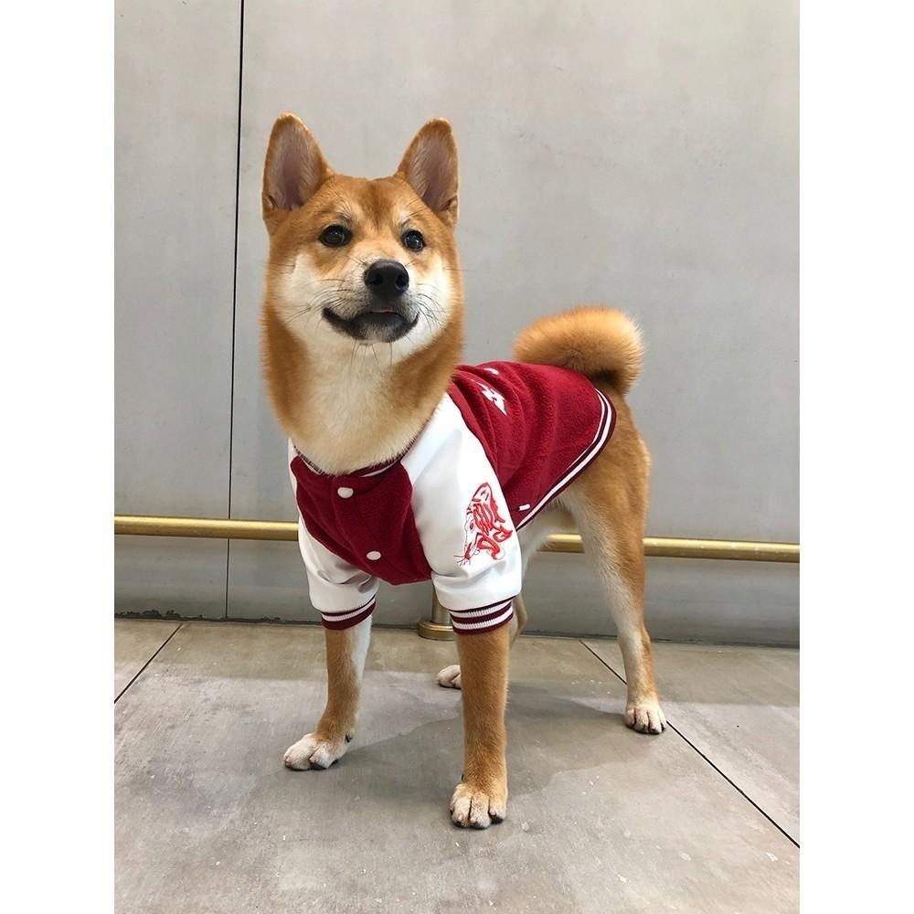【汪喵森活】3色潮流 棒球外套 寵物外套 秋冬服飾 狗衣服 中型犬 小型犬服飾 雪納瑞 米克斯 比熊 柯基 法鬥 柴犬-細節圖6