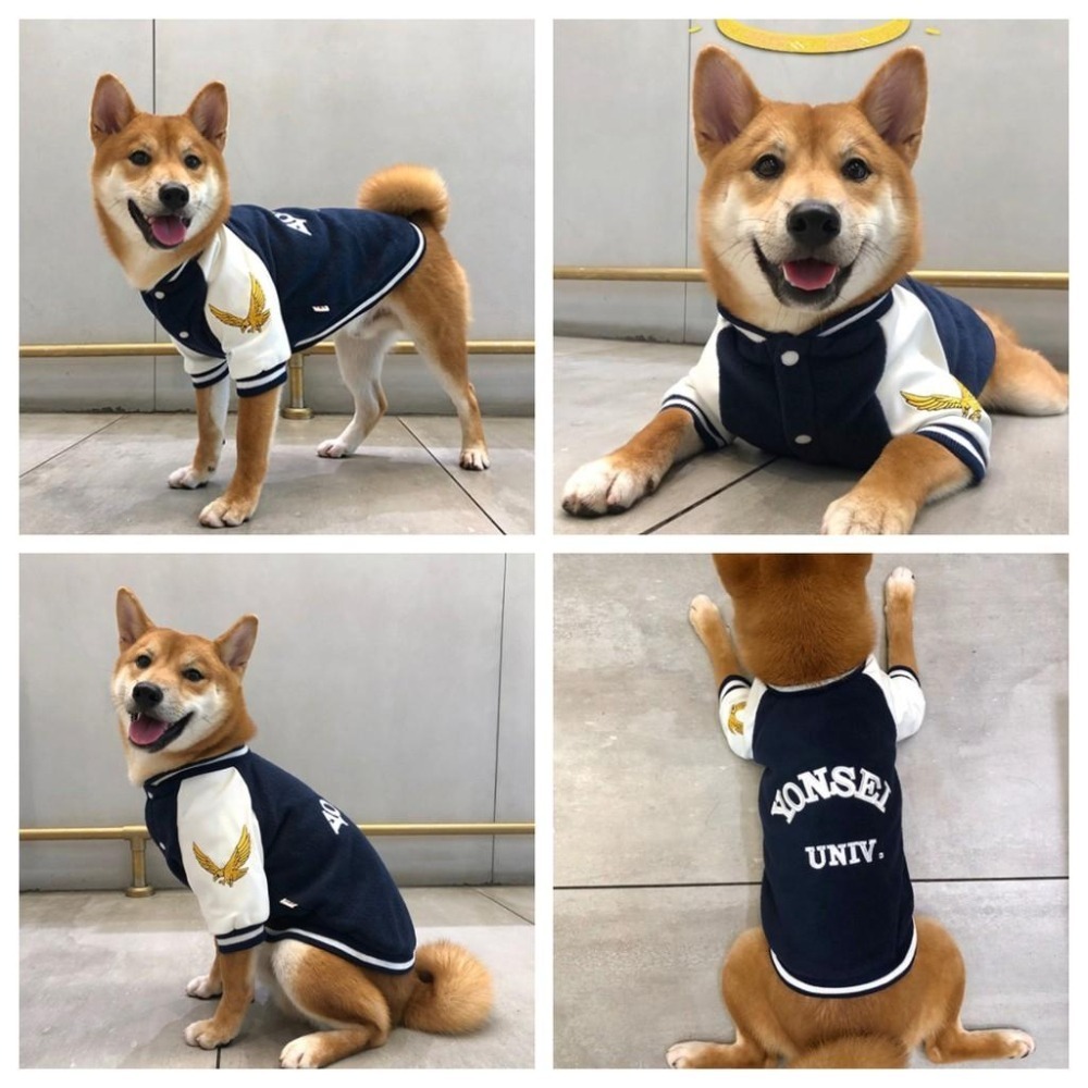 【汪喵森活】3色潮流 棒球外套 寵物外套 秋冬服飾 狗衣服 中型犬 小型犬服飾 雪納瑞 米克斯 比熊 柯基 法鬥 柴犬-細節圖5