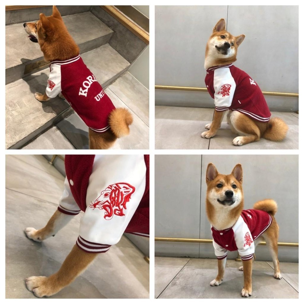 【汪喵森活】3色潮流 棒球外套 寵物外套 秋冬服飾 狗衣服 中型犬 小型犬服飾 雪納瑞 米克斯 比熊 柯基 法鬥 柴犬-細節圖7