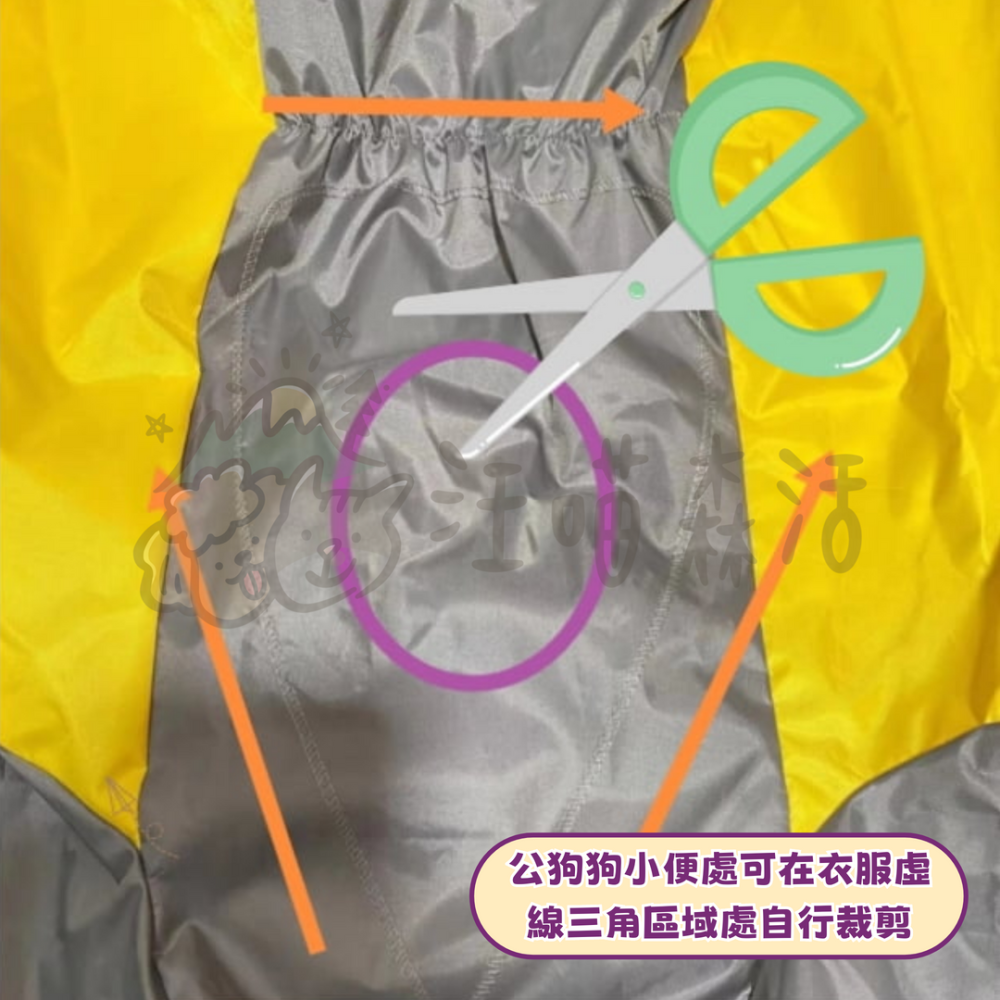 【汪喵森活】 寵物雨衣 2色 大狗雨衣 大型犬 狗雨衣 雨衣 包腹 米克斯 薩摩耶 哈士奇 黃金獵犬 拉不拉多 邊牧-細節圖4