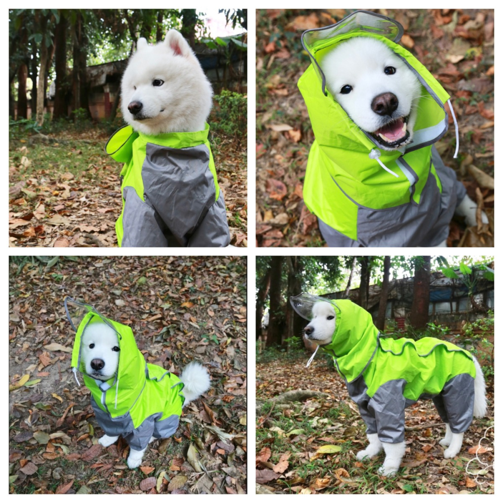 【汪喵森活】 寵物雨衣 2色 大狗雨衣 大型犬 狗雨衣 雨衣 包腹 米克斯 薩摩耶 哈士奇 黃金獵犬 拉不拉多 邊牧-細節圖5