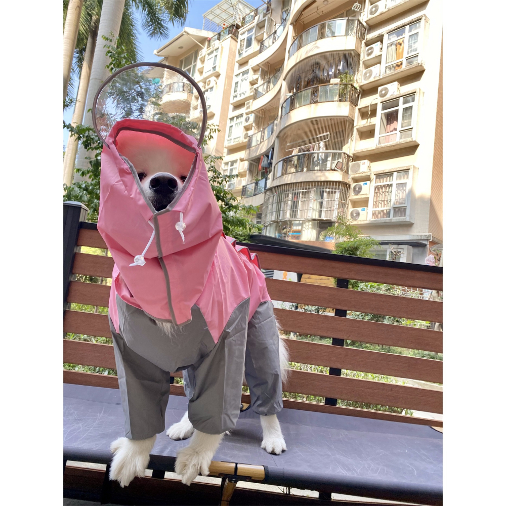 【汪喵森活】 寵物雨衣 2色 大狗雨衣 大型犬 狗雨衣 雨衣 包腹 米克斯 薩摩耶 哈士奇 黃金獵犬 拉不拉多 邊牧-細節圖9