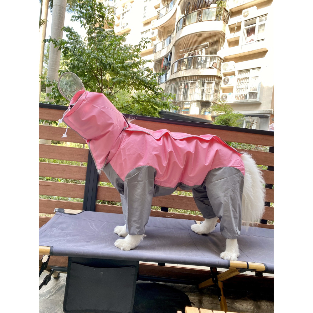 【汪喵森活】 寵物雨衣 2色 大狗雨衣 大型犬 狗雨衣 雨衣 包腹 米克斯 薩摩耶 哈士奇 黃金獵犬 拉不拉多 邊牧-細節圖10