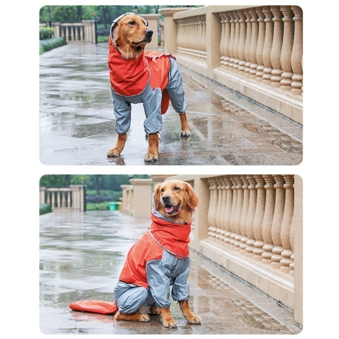 【汪喵森活】 寵物雨衣 2色 大狗雨衣 大型犬 狗雨衣 雨衣 包尾 包腹 米克斯 薩摩耶 哈士奇 黃金獵犬 拉不拉多-細節圖4