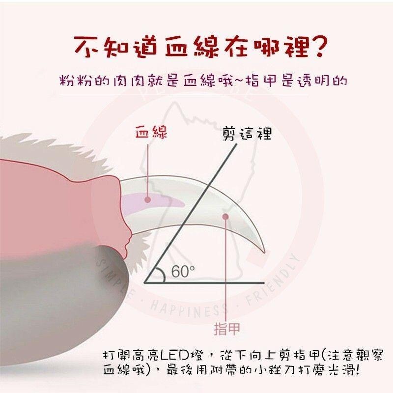 【汪喵森活】 寵物LED指甲剪 寵物指甲剪 狗指甲剪 LED指甲剪 寵物磨甲 寵物安全剪 寵物美容 貓咪指甲剪 指甲剪-細節圖6