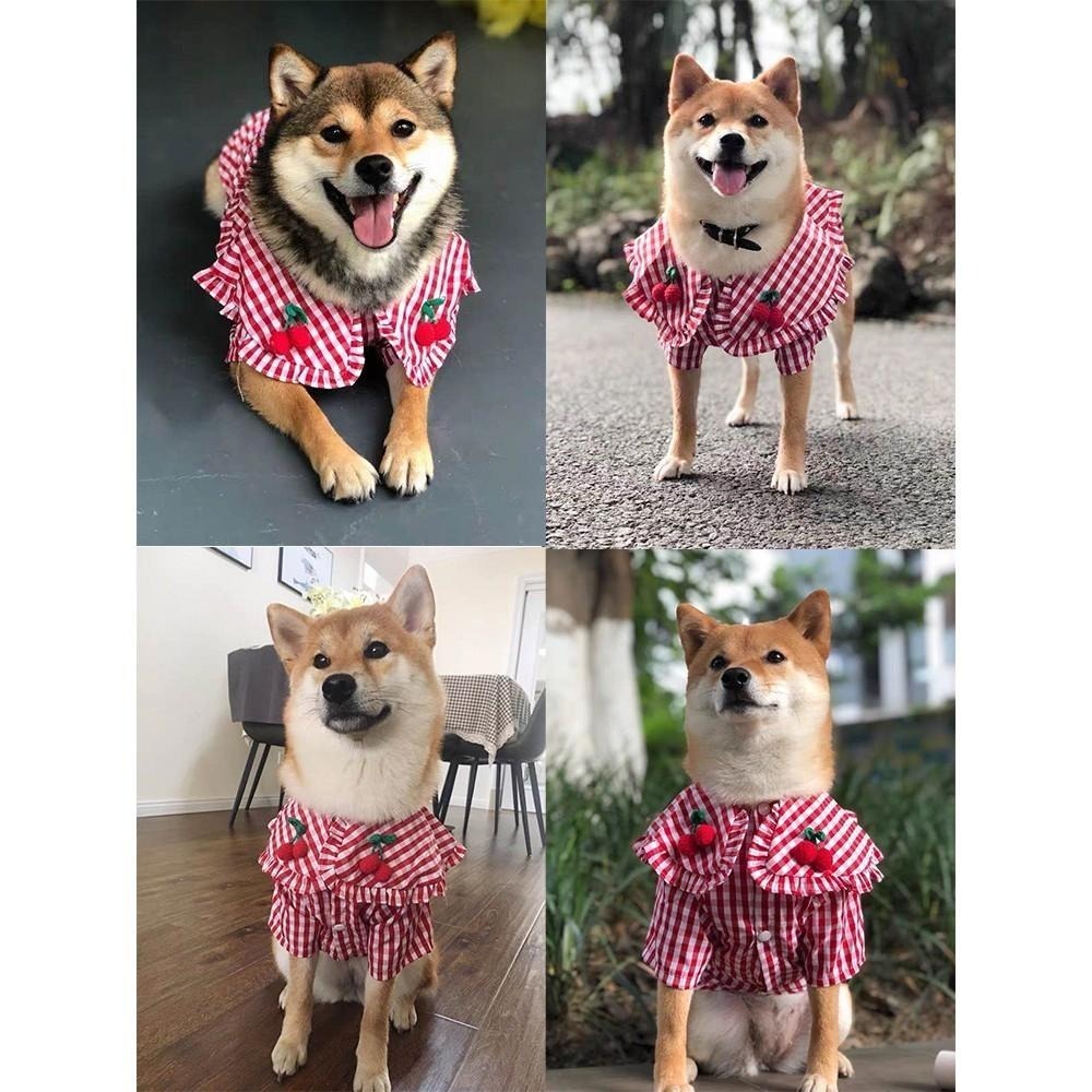 【汪喵森活】櫻桃 紅色格子 狗衣服 狗夏季衣服 寵物衣服 柯基 柴犬 貴賓 雪納瑞 西高地 法鬥 英鬥 米客斯 西高地-細節圖3