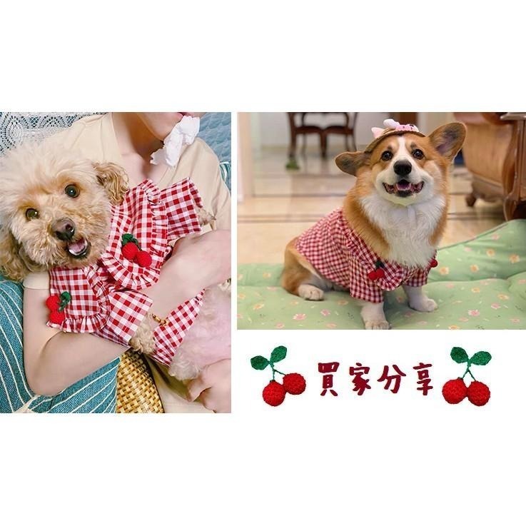 【汪喵森活】櫻桃 紅色格子 狗衣服 狗夏季衣服 寵物衣服 柯基 柴犬 貴賓 雪納瑞 西高地 法鬥 英鬥 米客斯 西高地-細節圖4