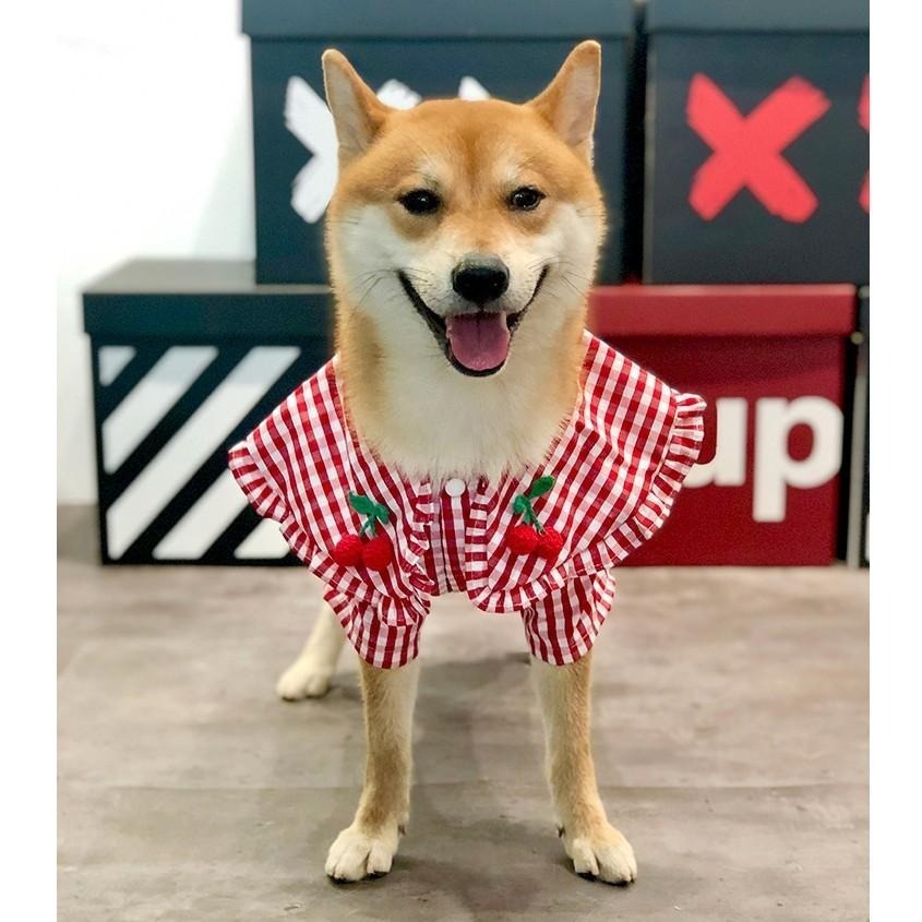 【汪喵森活】櫻桃 紅色格子 狗衣服 狗夏季衣服 寵物衣服 柯基 柴犬 貴賓 雪納瑞 西高地 法鬥 英鬥 米客斯 西高地-細節圖6
