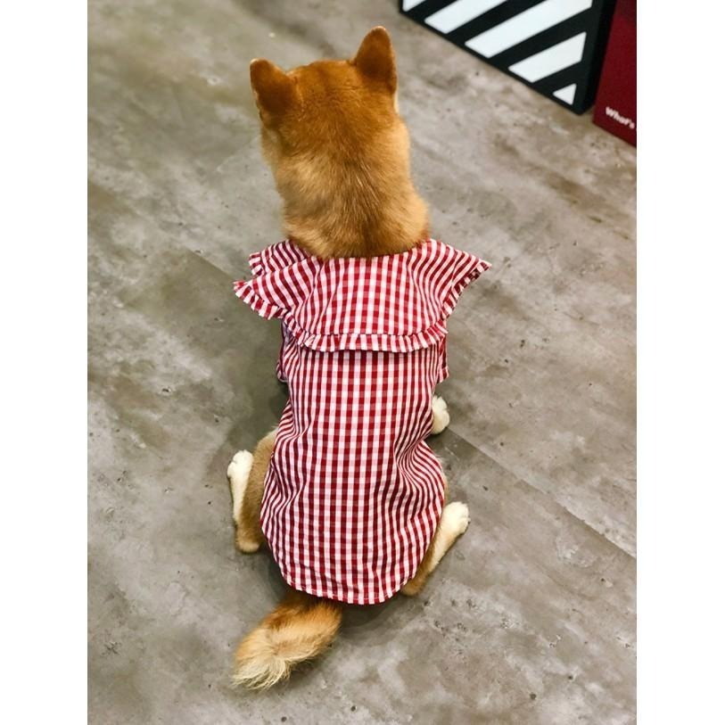 【汪喵森活】櫻桃 紅色格子 狗衣服 狗夏季衣服 寵物衣服 柯基 柴犬 貴賓 雪納瑞 西高地 法鬥 英鬥 米客斯 西高地-細節圖7