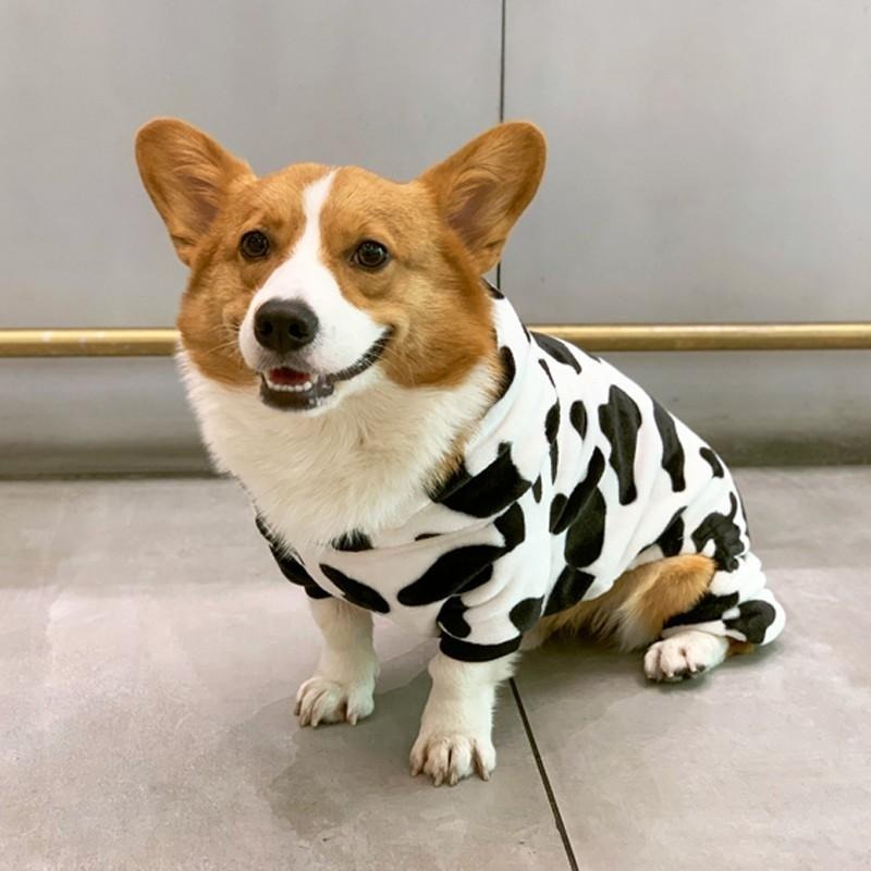 【汪喵森活】 乳牛帽Tee 法蘭絨 秋冬服飾 狗衣服 中型犬 大型犬服飾 雪納瑞 西高地 比熊 柯基 法鬥 柴犬 貴賓-細節圖3