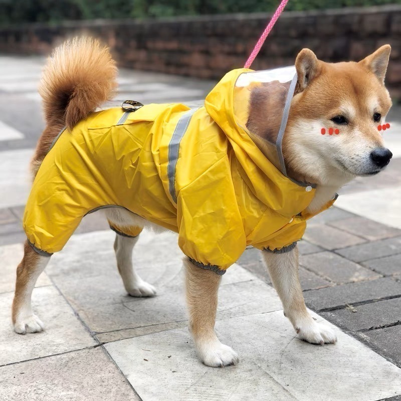 【汪喵森活】 寵物雨衣 雨衣 柴犬雨衣 防水 柯基 法鬥 柴犬 比熊 雪納瑞 西高地 狗雨衣 貴賓 馬爾濟斯 傑克羅素梗-細節圖8