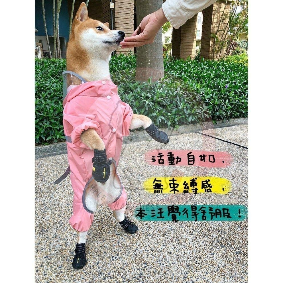 【汪喵森活】 寵物雨衣 雨衣 柴犬雨衣 防水 柯基 法鬥 柴犬 比熊 雪納瑞 西高地 狗雨衣 貴賓 馬爾濟斯 傑克羅素梗-細節圖9