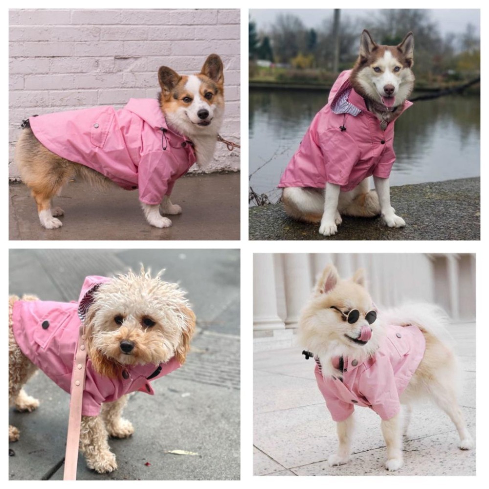 【汪喵森活】 寵物雨衣 2-35kg 寵物風衣 大狗雨衣 狗雨衣 雨衣 防水 柯基 法鬥 柴犬 薩摩耶 哈士奇 米克斯-細節圖9