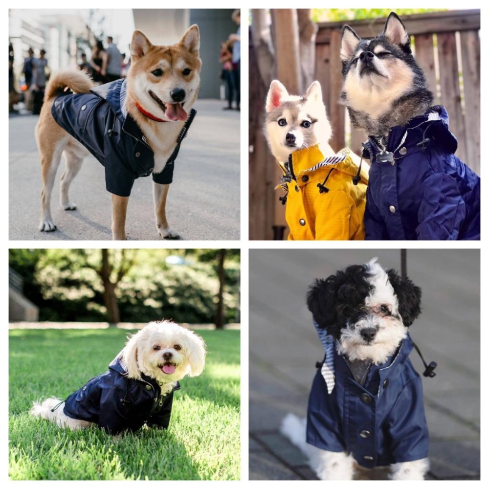 【汪喵森活】 寵物雨衣 2-35kg 寵物風衣 大狗雨衣 狗雨衣 雨衣 防水 柯基 法鬥 柴犬 薩摩耶 哈士奇 米克斯-細節圖10