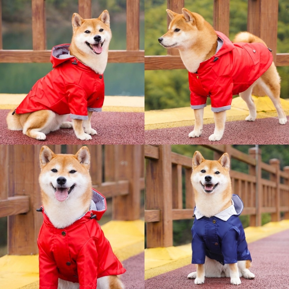 【汪喵森活】 寵物雨衣 2-35kg 寵物風衣 大狗雨衣 狗雨衣 雨衣 防水 柯基 法鬥 柴犬 薩摩耶 哈士奇 米克斯-細節圖11