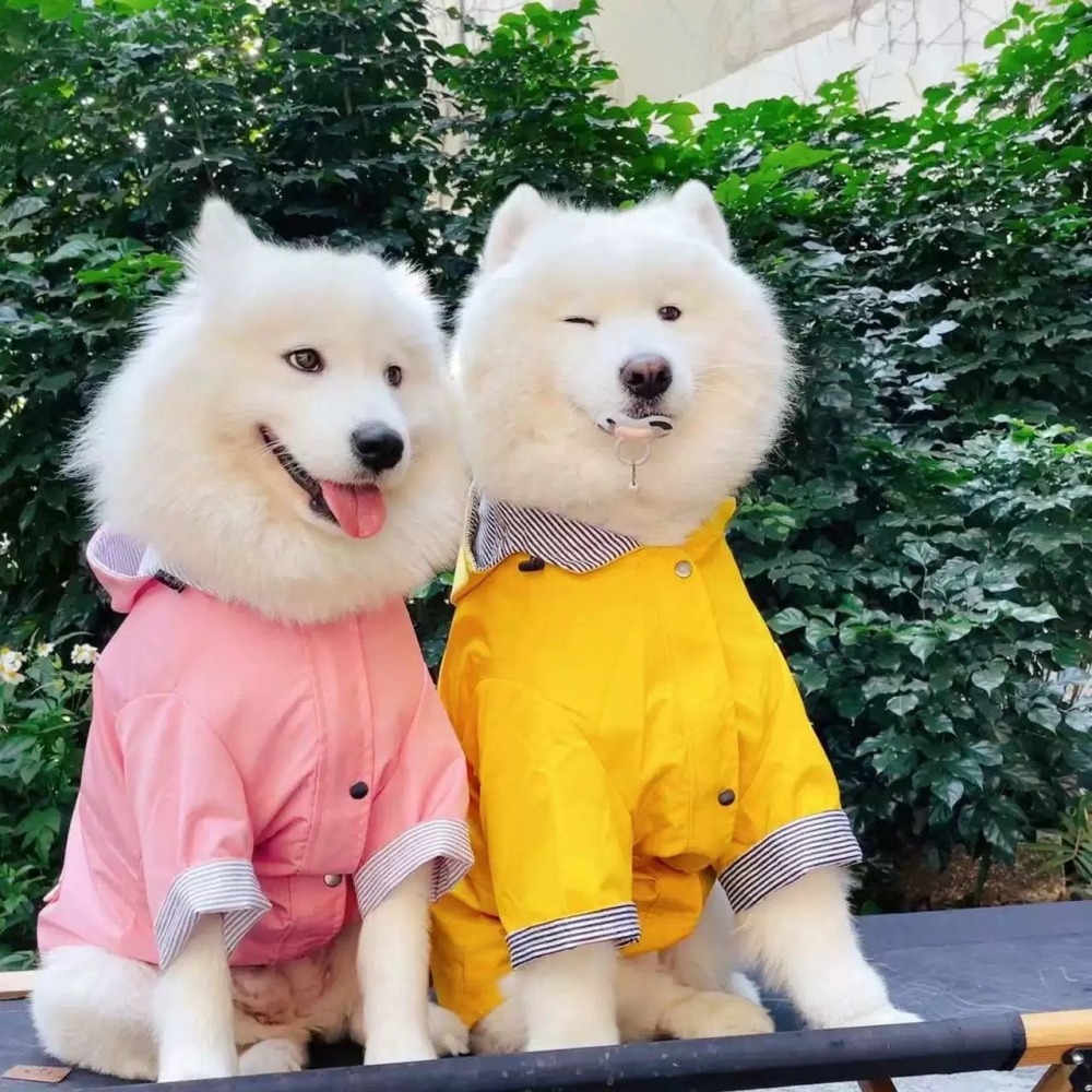 【汪喵森活】 寵物雨衣 2-35kg 寵物風衣 大狗雨衣 狗雨衣 雨衣 防水 柯基 法鬥 柴犬 薩摩耶 哈士奇 米克斯-細節圖3
