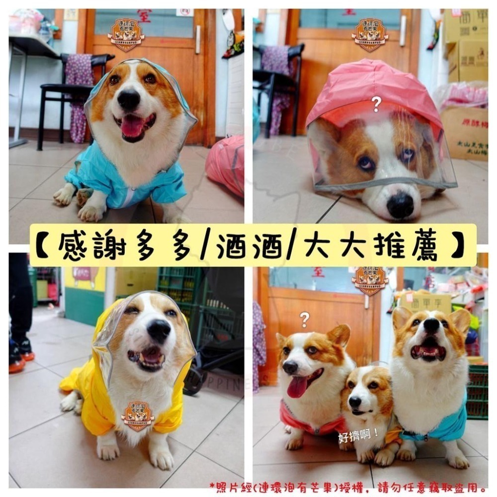 ✨汪喵森活✨ 寵物雨衣 3色 四腳雨衣 身體偏長的狗狗❗ 柯基 臘腸狗 米克斯 台灣土狗 狗雨衣 柯基雨衣 四腳雨衣-細節圖3