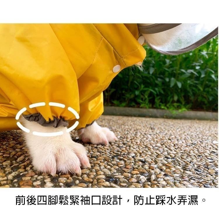 ✨汪喵森活✨ 寵物雨衣 3色 四腳雨衣 身體偏長的狗狗❗ 柯基 臘腸狗 米克斯 台灣土狗 狗雨衣 柯基雨衣 四腳雨衣-細節圖8
