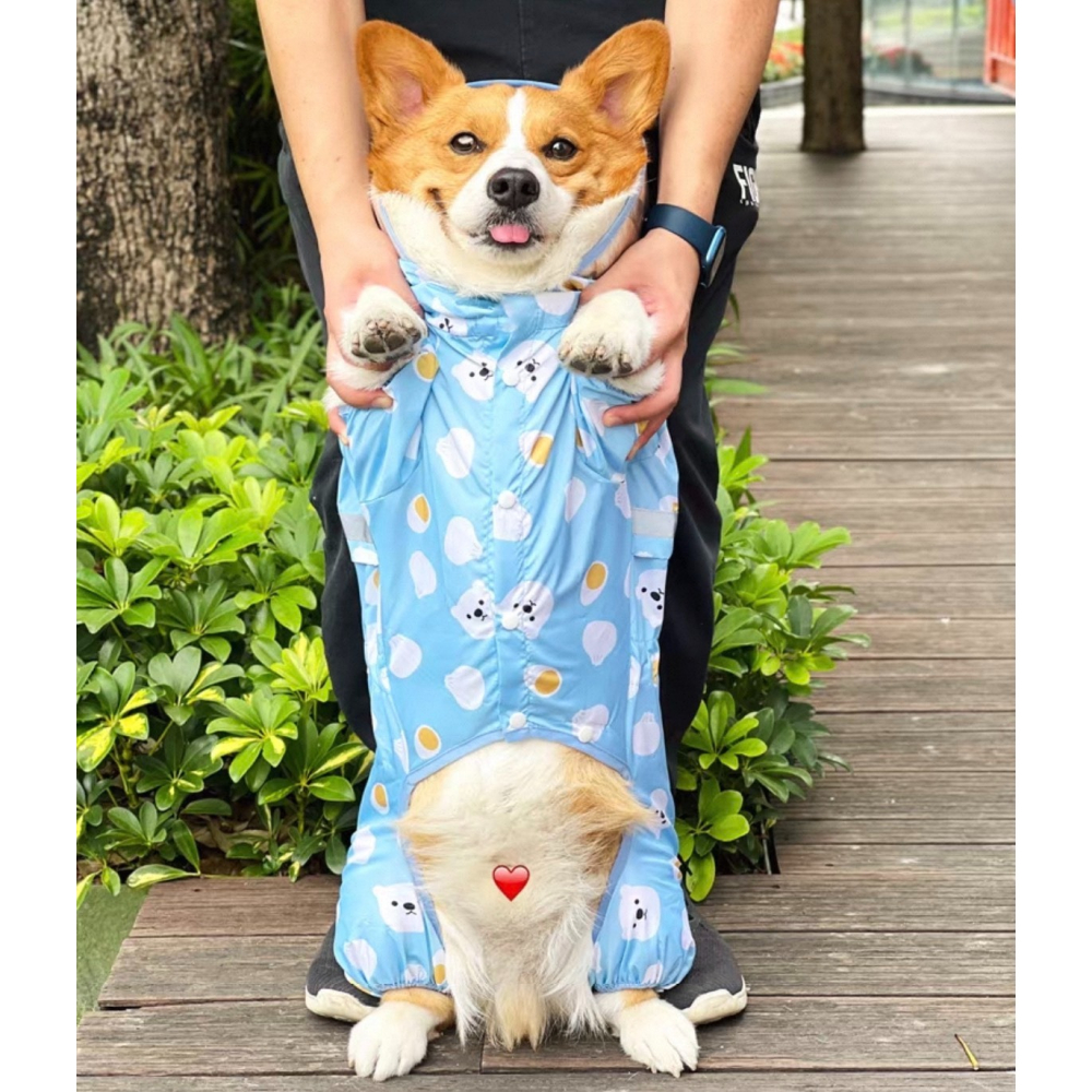 ✨汪喵森活✨ 寵物雨衣 3色 四腳雨衣 身體偏長的狗狗❗ 柯基 臘腸狗 米克斯 台灣土狗 狗雨衣 柯基雨衣 四腳雨衣-細節圖10