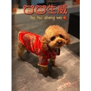 【汪喵森活】新年 唐裝 寵物新年衣服 過年衣服 新年 春節 比熊 博美 貴賓 小型犬服飾 吉娃娃 雪納瑞 西施 貓衣服-細節圖6