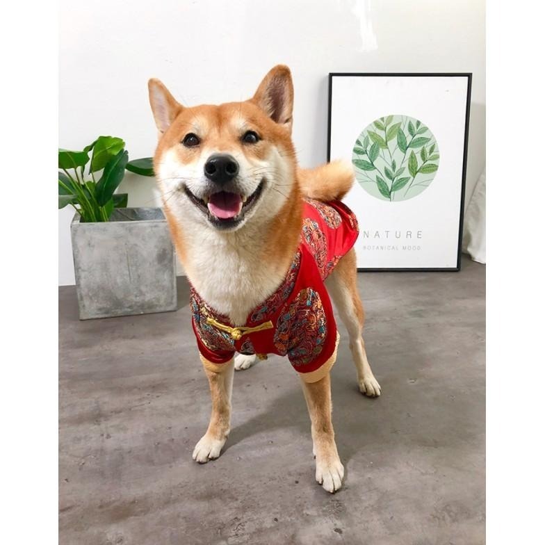【汪喵森活】新年 唐裝 寵物新年衣服 過年衣服 新年 春節 比熊 博美 貴賓 小型犬服飾 吉娃娃 雪納瑞 西施 貓衣服-細節圖7