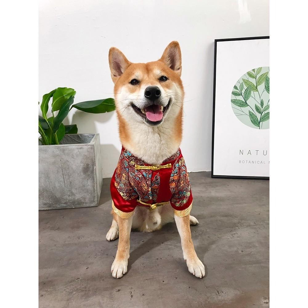 【汪喵森活】新年 唐裝 寵物新年衣服 過年衣服 新年 春節 比熊 博美 貴賓 小型犬服飾 吉娃娃 雪納瑞 西施 貓衣服-細節圖8