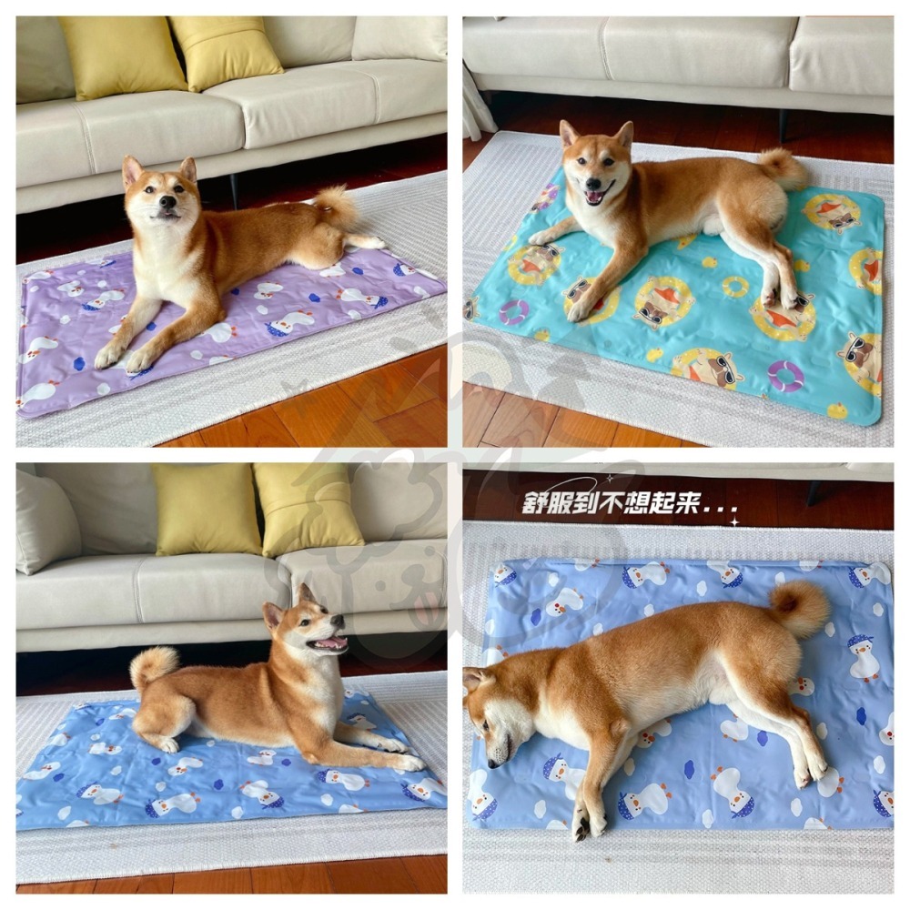 【汪喵森活】 8款 寵物涼墊 狗狗 冰墊 降溫 涼感 睡墊 柯基 法鬥 柴犬 比熊 雪納瑞 臘腸 貴賓 西高地 寵物床-細節圖9
